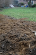 Lawn: before