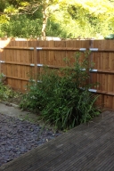 New fence