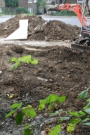 During the works